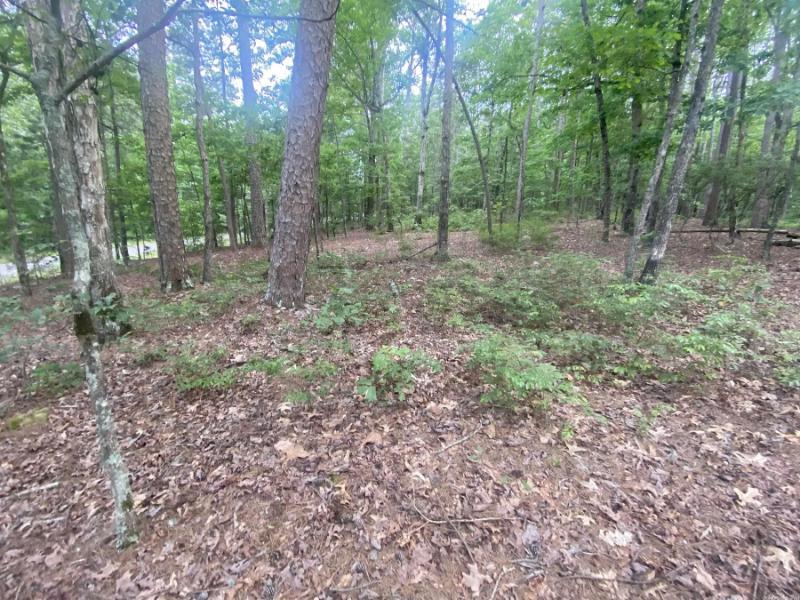 Beautiful Buildable La Viejo Place, Hot Springs Village Arkansas Lot   Government Surplus Auction - Photo #5