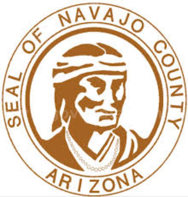 Off-Grid 1.26 Acre Arizona Rancheros Subdivision Lot Near Holbrook   Government Surplus Auction - Photo #5