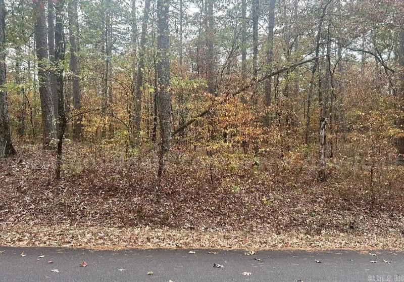 Breathtaking 0.24-Acre Residential Haven – Saline County, Quiet Cul de Sac Buildable Lot   Government Surplus Auction - Photo #3