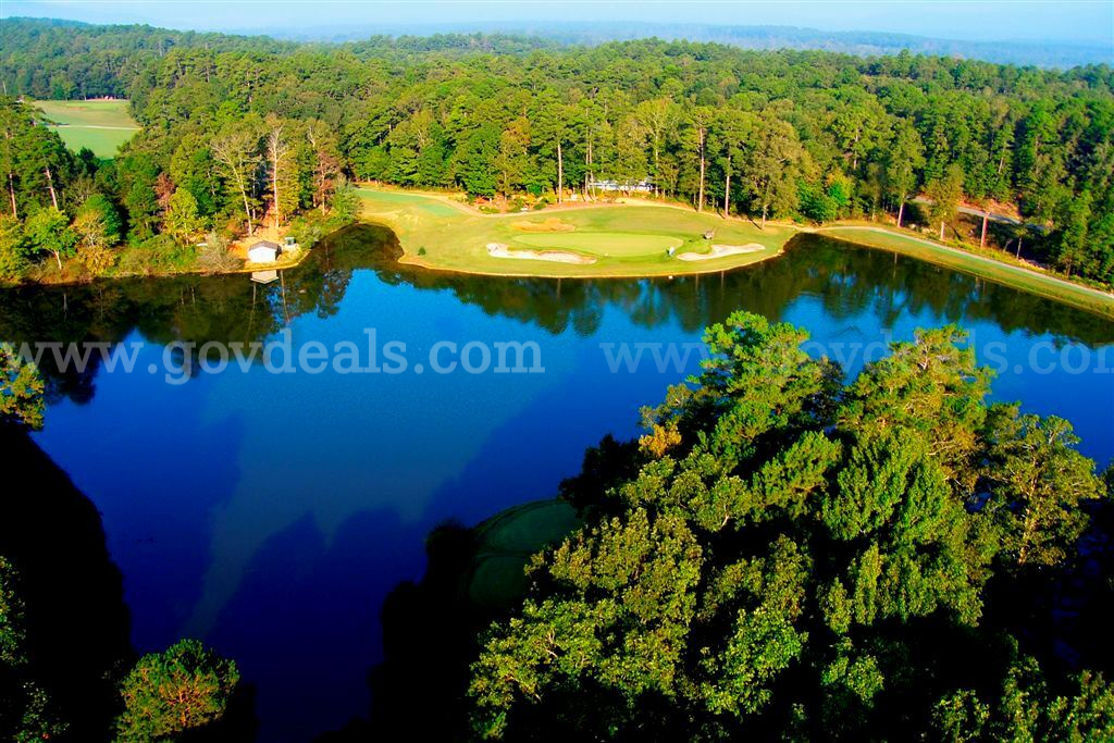 Scenic Quijote Circle Retreat in Hot Springs Village   Government Surplus Auction - Primary Photo