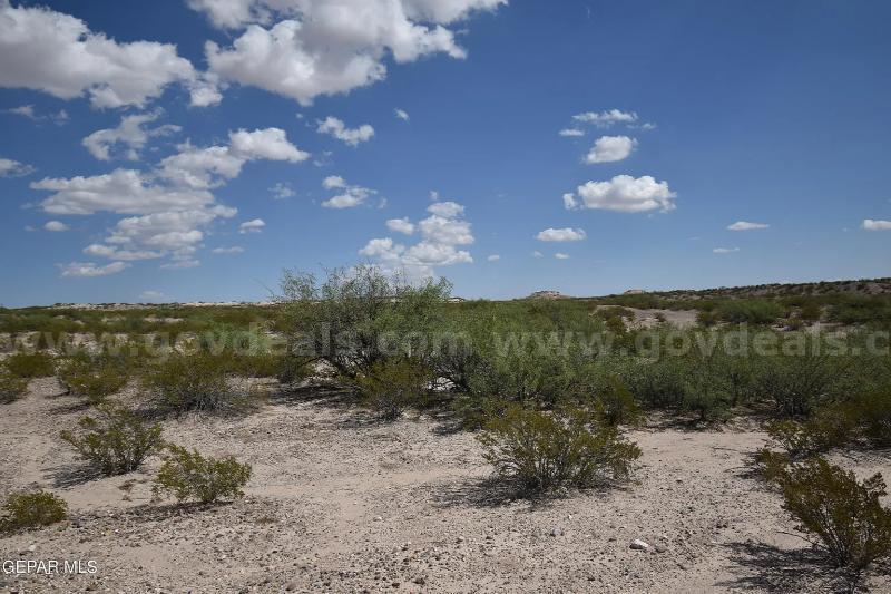 PRICE DROP on Gorgeous 10.5-Acre Parcel Near El Paso with McGuyers Rd Access, 5A   Government Surplus Auction - Photo #5
