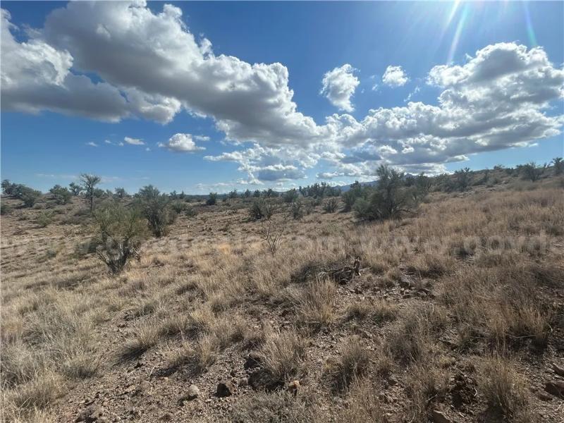 Lovely Valle Vista Mohave Arizona 0.19 Acre Corner Lot 5333  5333 Government Surplus Auction - Photo #4
