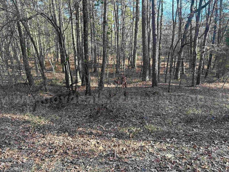 PRICE DROPPED on Incredible 1.10-Acre Residential Retreat – Garland County, Arkansas   Government Surplus Auction - Photo #3