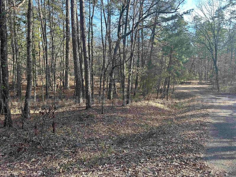 PRICE DROPPED on Incredible 1.10-Acre Residential Retreat – Garland County, Arkansas   Government Surplus Auction - Photo #5