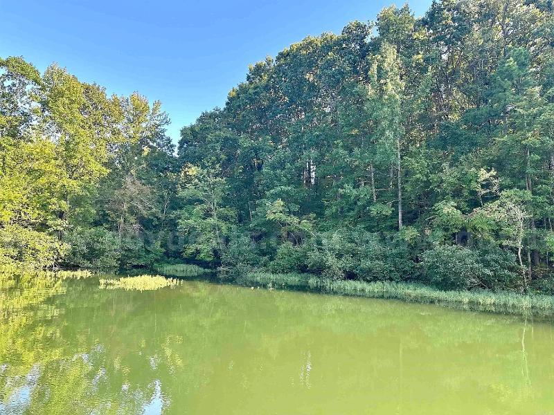 Prime Lakeview Retreat: 0.22-Acre Wooded Lot near Lake Desoto
