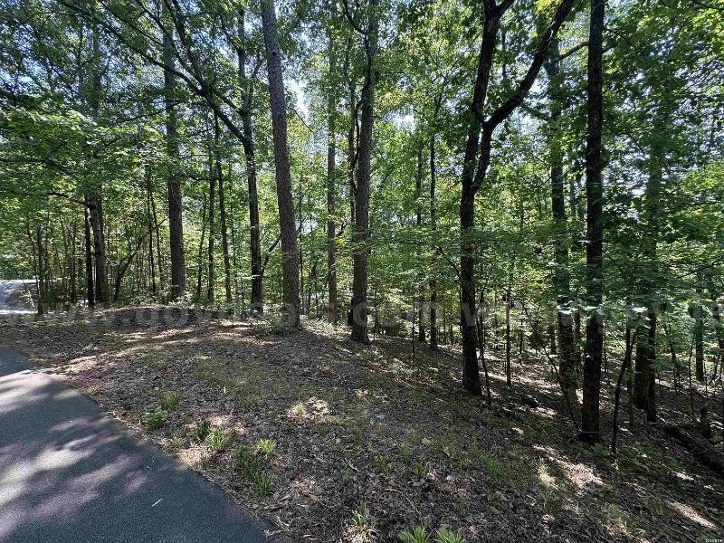 Prime Lakeview Retreat: 0.22-Acre Wooded Lot near Lake Desoto   Government Surplus Auction - Photo #2