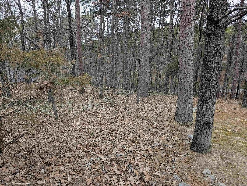 Prime Lakeview Retreat: 0.22-Acre Wooded Lot near Lake Desoto   Government Surplus Auction - Photo #6