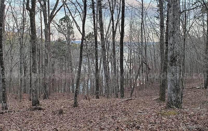 Huge Price Drop on Serene 0.24-Acre Residential Lakeview Retreat in Fairfield Bay, Arkansas   Government Surplus Auction - Photo #5