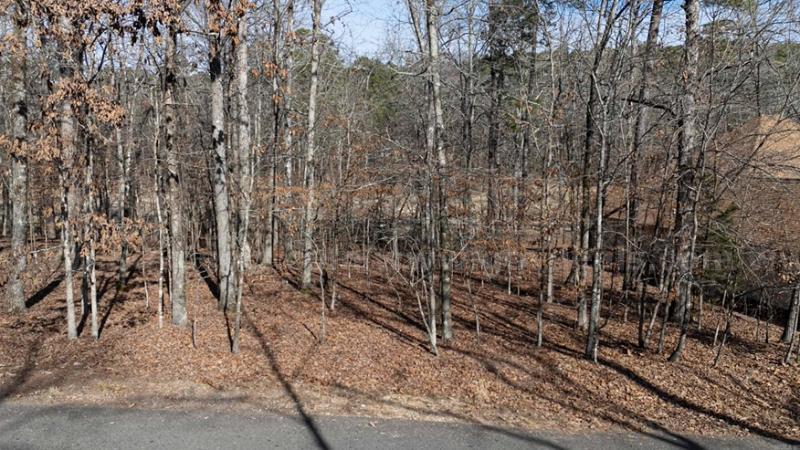 🌲 Prime 0.30-Acre Residential Lot on Cul-De-Sac in Hot Springs Village, AR   Government Surplus Auction - Photo #3