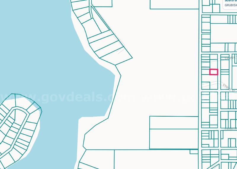 PRIME RECREATIONAL LAND OPPORTUNITY NEAR SADDLE LAKE: 0.14-ACRE LOT IN GRAND JUNCTION, MI   Government Surplus Auction - Photo #3
