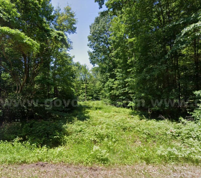 PRIME RECREATIONAL LAND OPPORTUNITY NEAR SADDLE LAKE: 0.14-ACRE LOT IN GRAND JUNCTION, MI   Government Surplus Auction - Photo #4