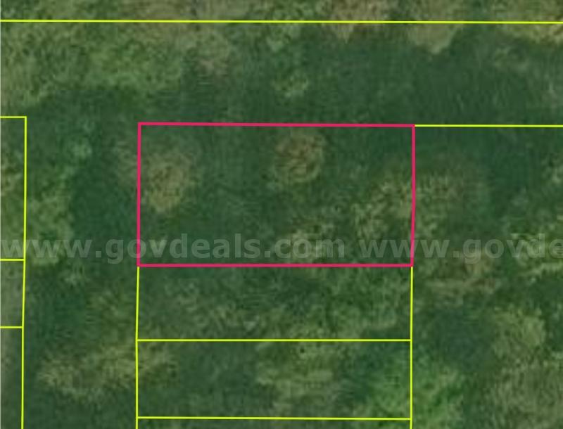 OFF-GRID INVESTMENT: 0.12 ACRES NEAR LOWER SCOTT LAKE – FENNVILLE, MI   Government Surplus Auction - Photo #2