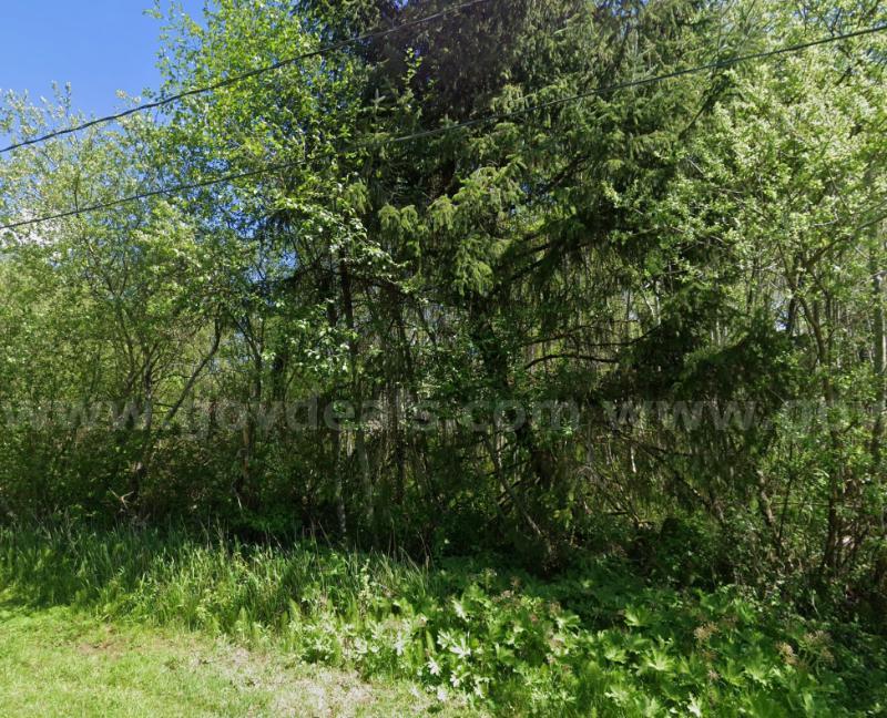 ~0.48 Acre Lot in north Aberdeen, Washington Near the Wishkah River   Government Surplus Auction - Photo #2