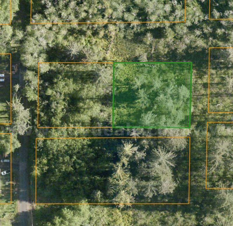 ~0.48 Acre Lot in north Aberdeen, Washington Near the Wishkah River   Government Surplus Auction - Photo #4