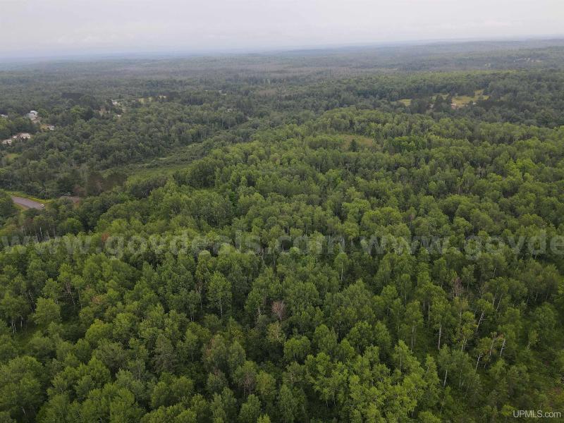 🌲 10.18-Acre Northwoods Retreat – Wakefield, MI 🌲   Government Surplus Auction - Primary Photo
