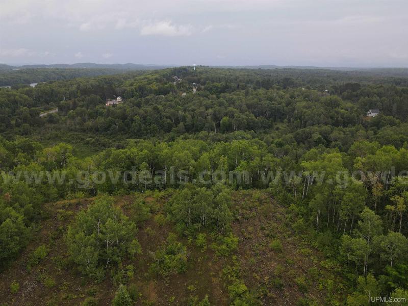 🌲 10.18-Acre Northwoods Retreat – Wakefield, MI 🌲   Government Surplus Auction - Photo #4