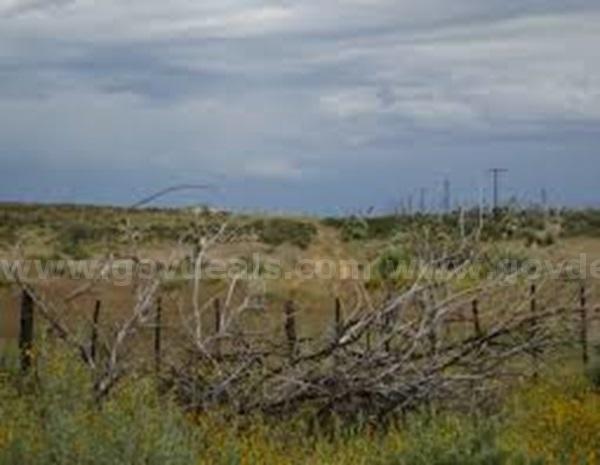 Expansive West Texas Oasis in La Hacienda Estates 4.98 Acre Homesite w/Roads & Power Lots 739 & 740  739 Government Surplus Auction - Primary Photo