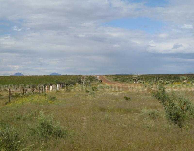 Expansive West Texas Oasis in La Hacienda Estates 4.98 Acre Homesite w/Roads & Power Lots 739 & 740  739 Government Surplus Auction - Photo #4
