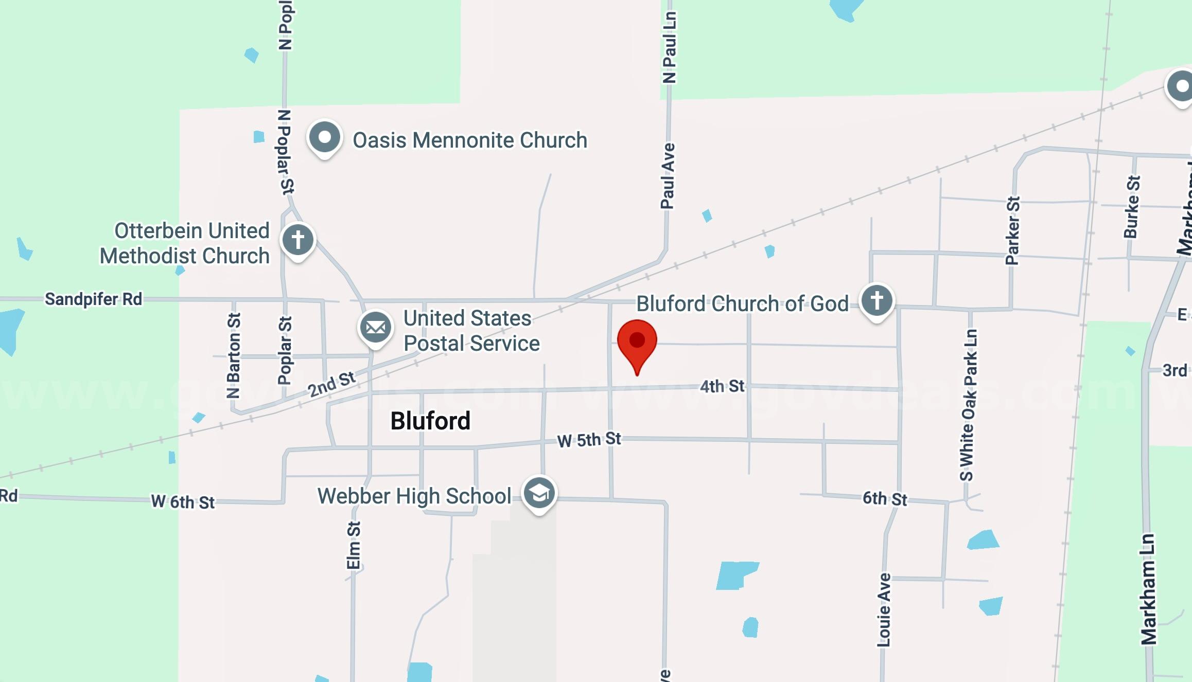 Large 50 X 100 Sq ft (0.12 Acres) Lot in Bluford, IL   Government Surplus Auction - Photo #6