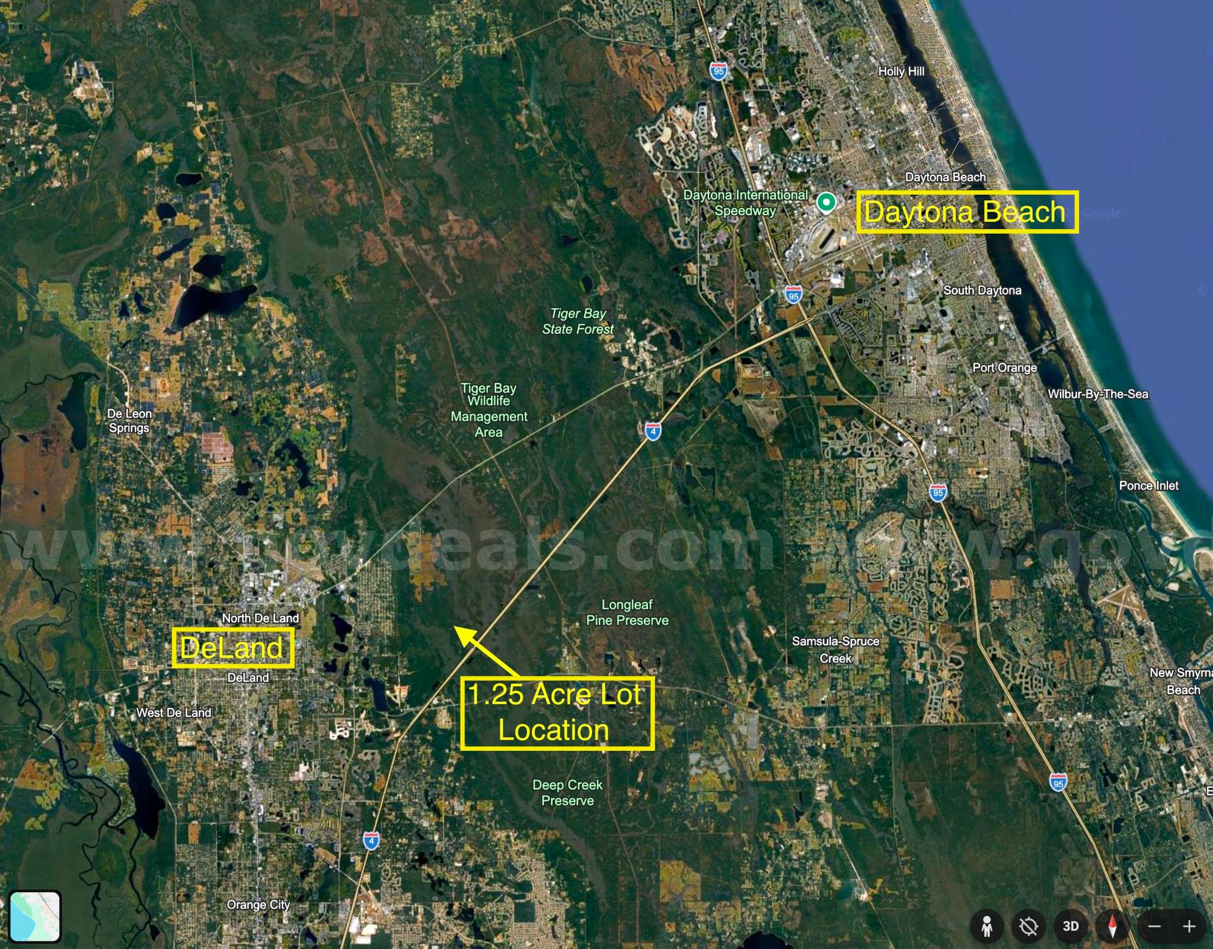 1.25 Acre Volusia County Florida No Reserve!   Government Surplus Auction - Photo #6