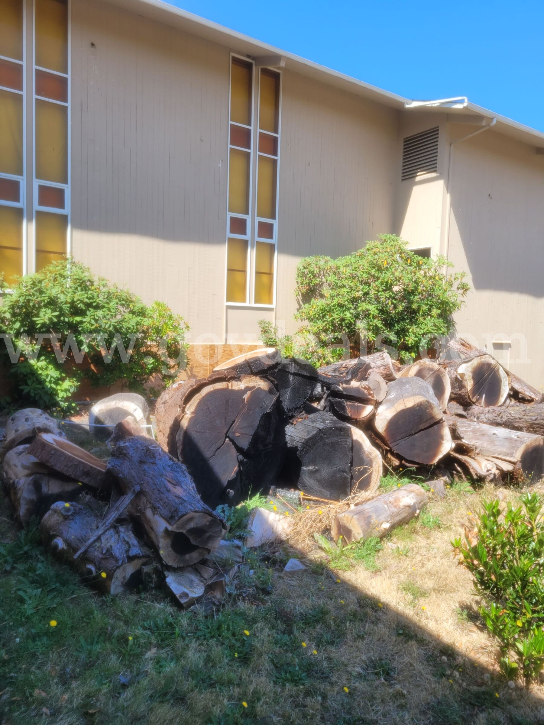 Sequoia Tree, Fallen tree trunk and limbs Toyota Land Cruiser Government Surplus Auction - Photo #2