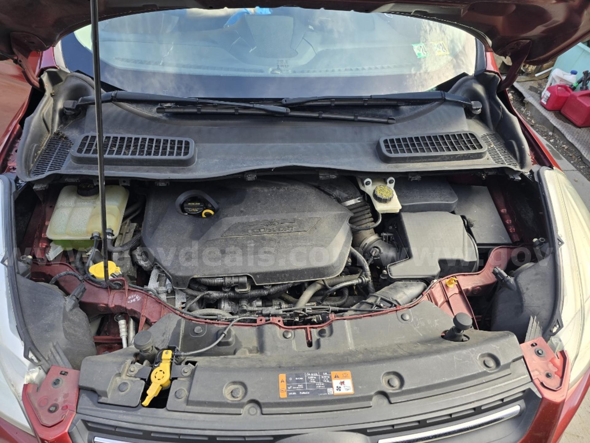2014 Ford Escape Ford Escape Government Surplus Auction - Photo #6