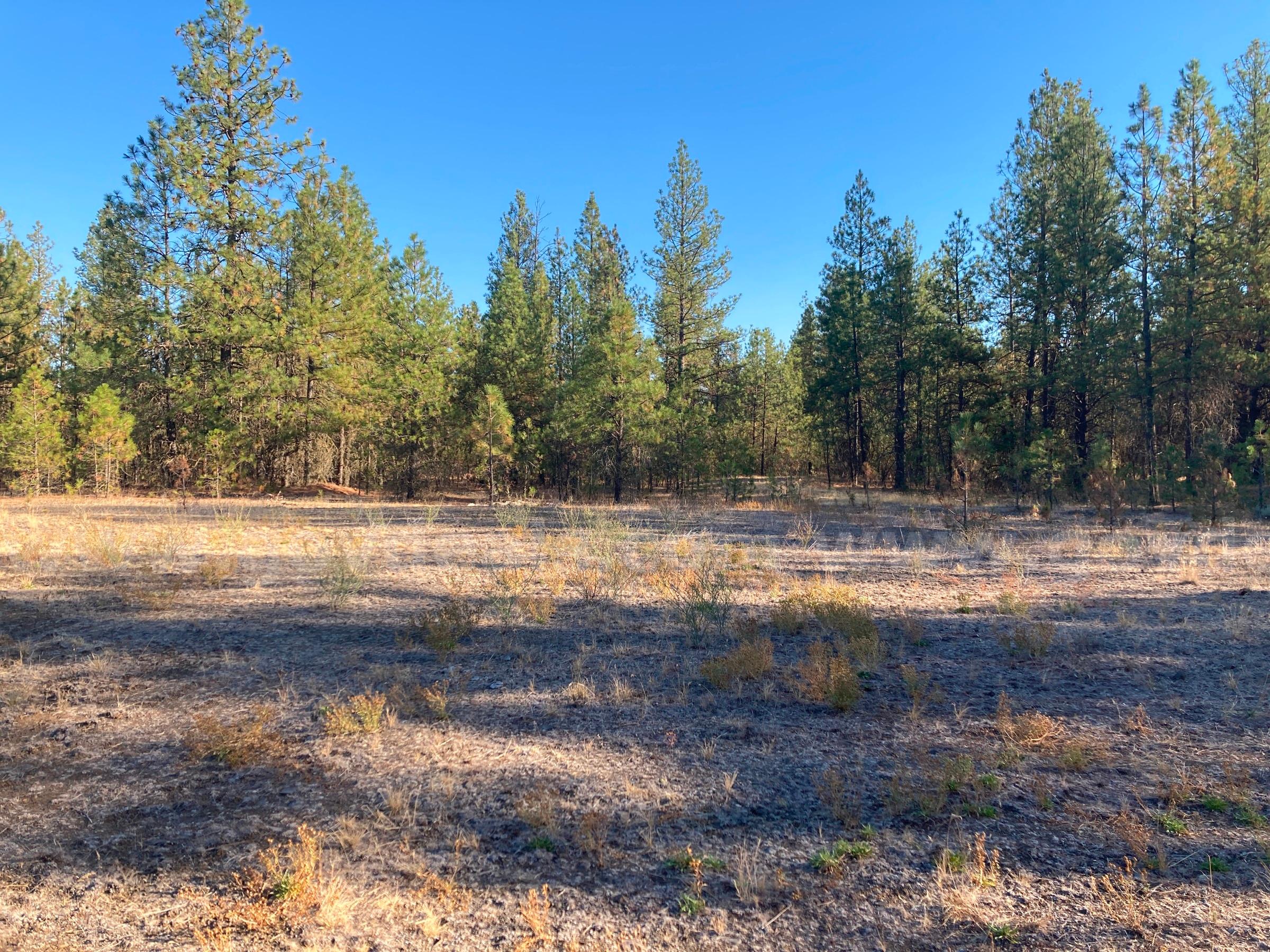 Two Parcels Approx. 11.34 acres - Drumheller Pit, Spokane, Washington   Government Surplus Auction - Primary Photo