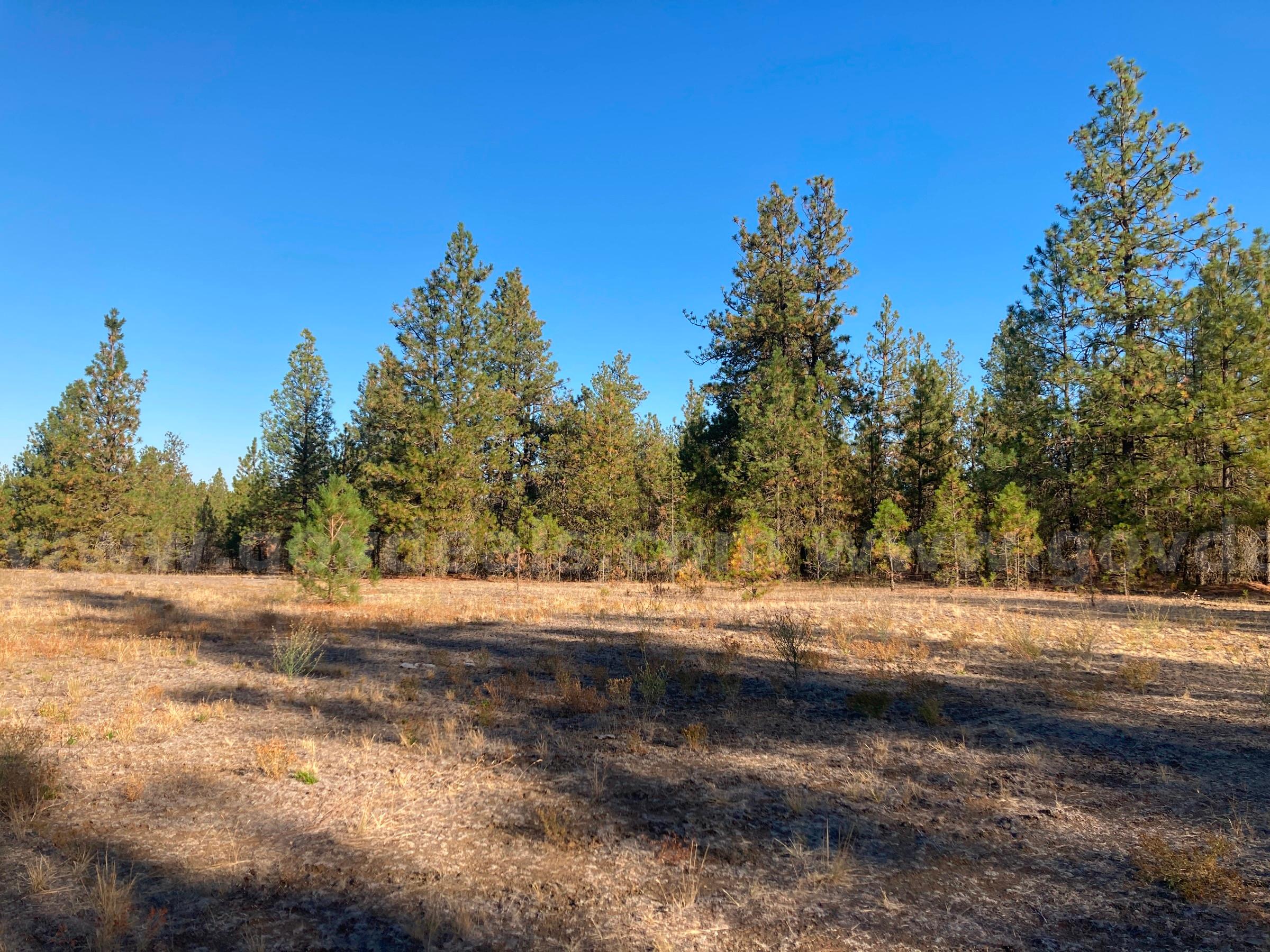 Two Parcels Approx. 11.34 acres - Drumheller Pit, Spokane, Washington   Government Surplus Auction - Photo #2