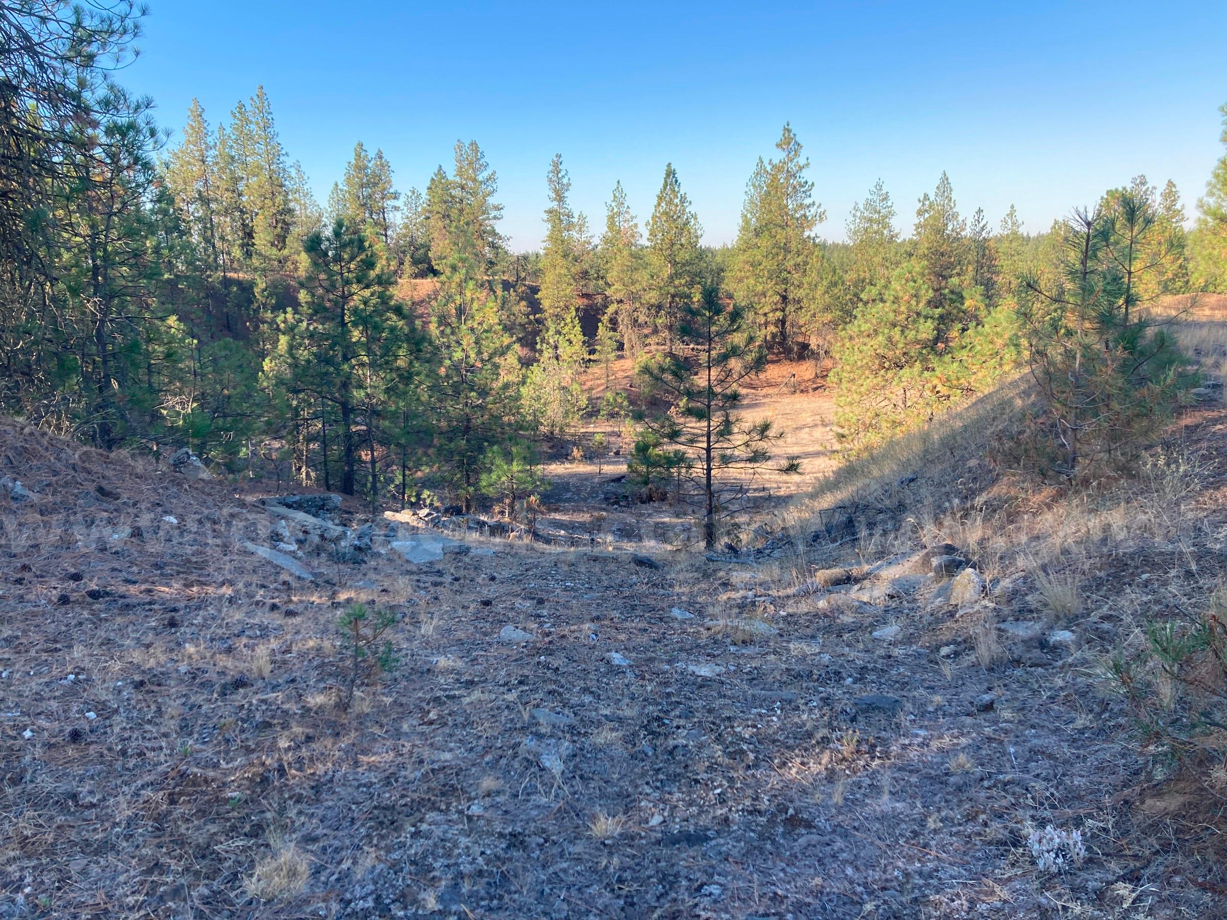 Two Parcels Approx. 11.34 acres - Drumheller Pit, Spokane, Washington   Government Surplus Auction - Photo #3