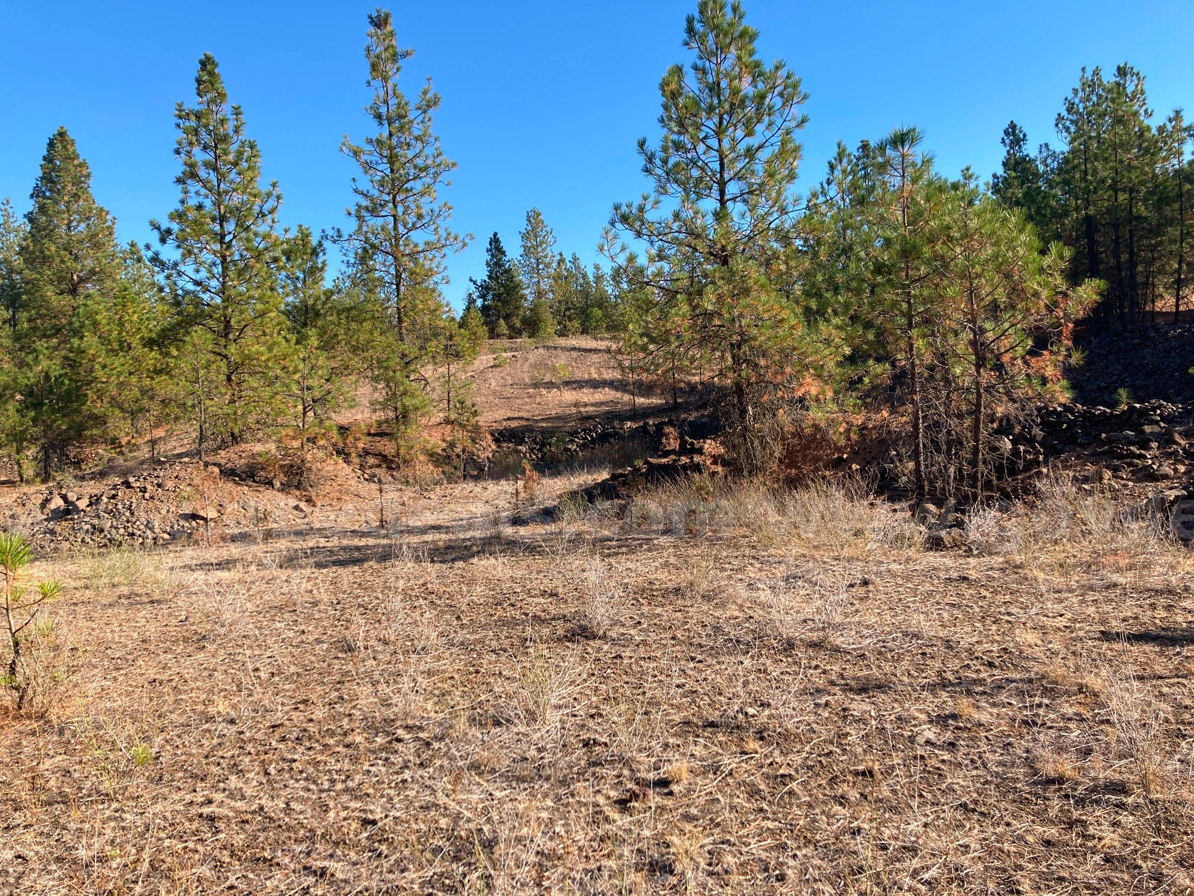 Two Parcels Approx. 11.34 acres - Drumheller Pit, Spokane, Washington   Government Surplus Auction - Photo #4