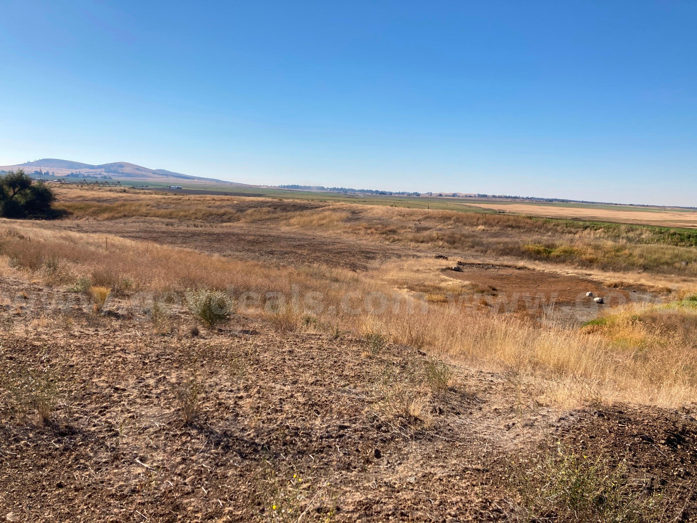 Approx. 11 acres - McFarland Pit, Spokane, Washington   Government Surplus Auction - Photo #2