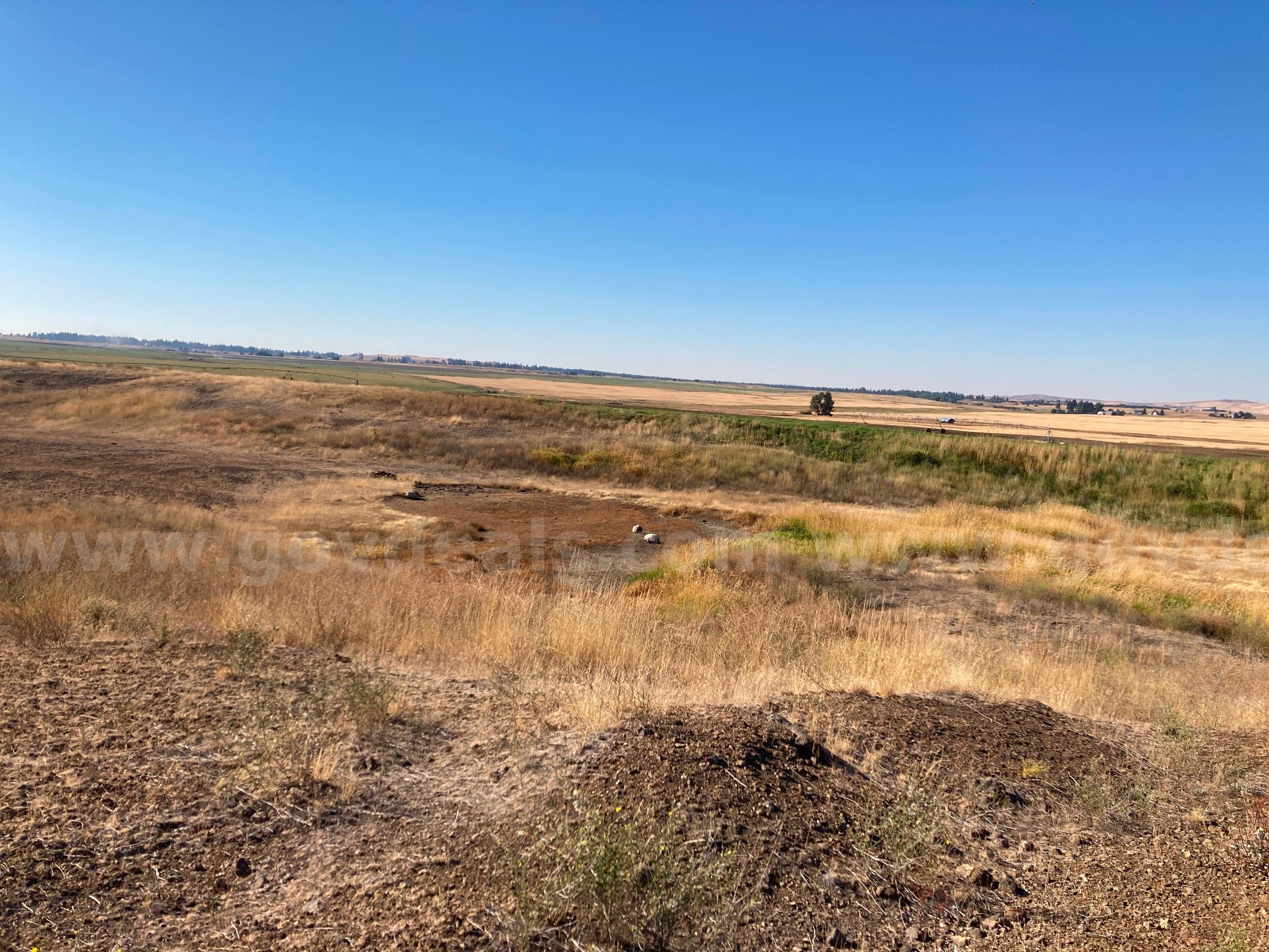 Approx. 11 acres - McFarland Pit, Spokane, Washington   Government Surplus Auction - Photo #3