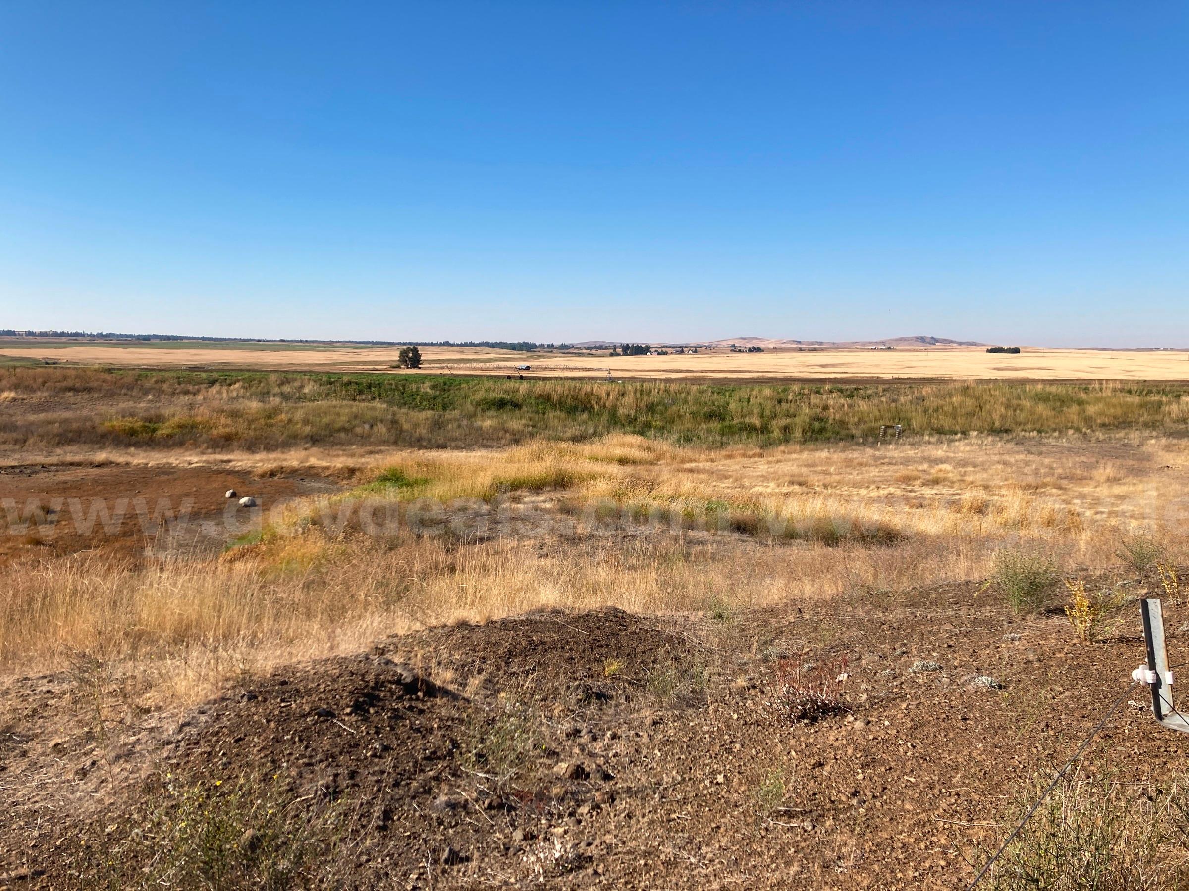 Approx. 11 acres - McFarland Pit, Spokane, Washington   Government Surplus Auction - Photo #4