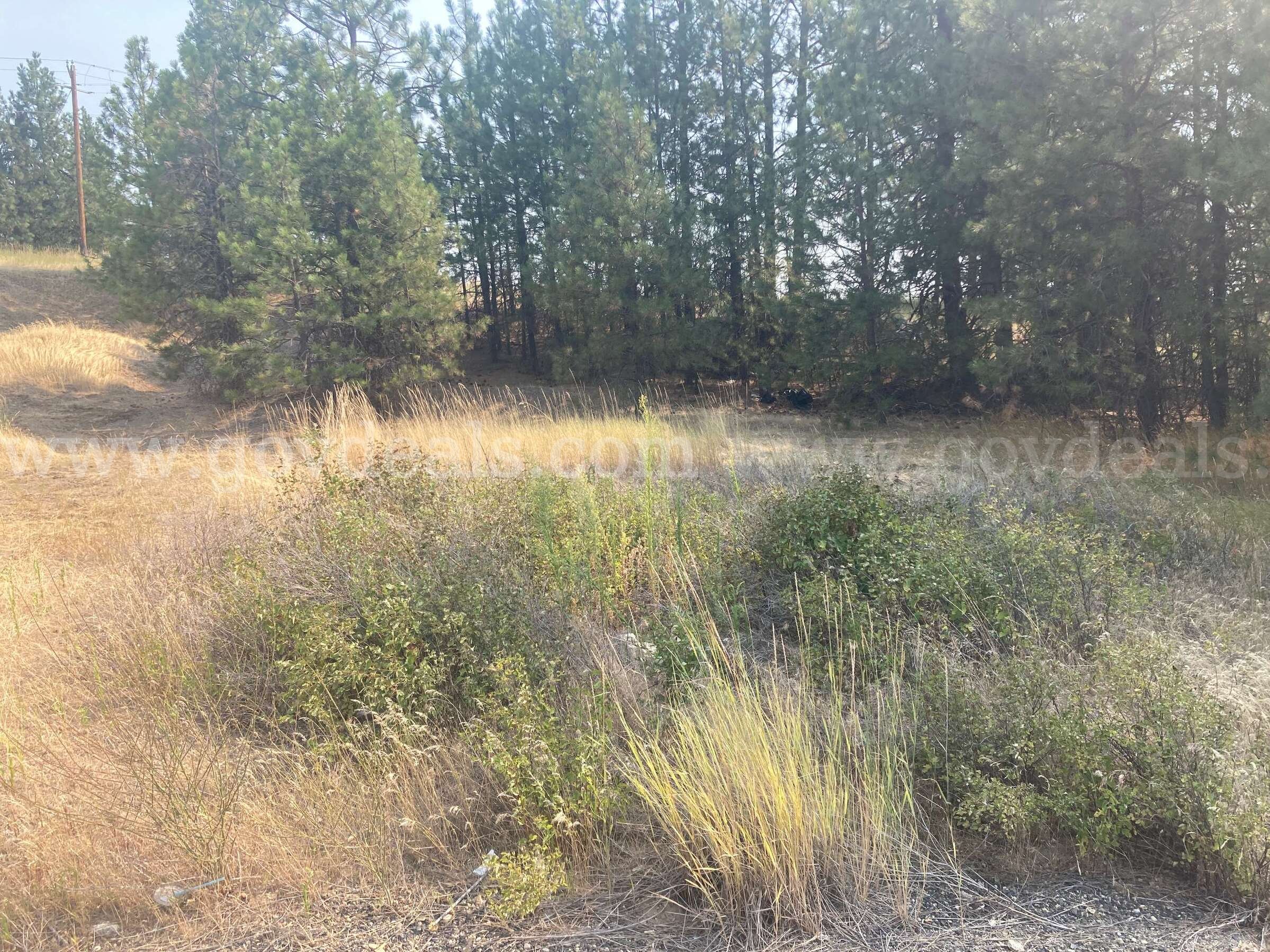 Approx. 0.8 acres - Monroe Pit, Spokane, Washington   Government Surplus Auction - Photo #2