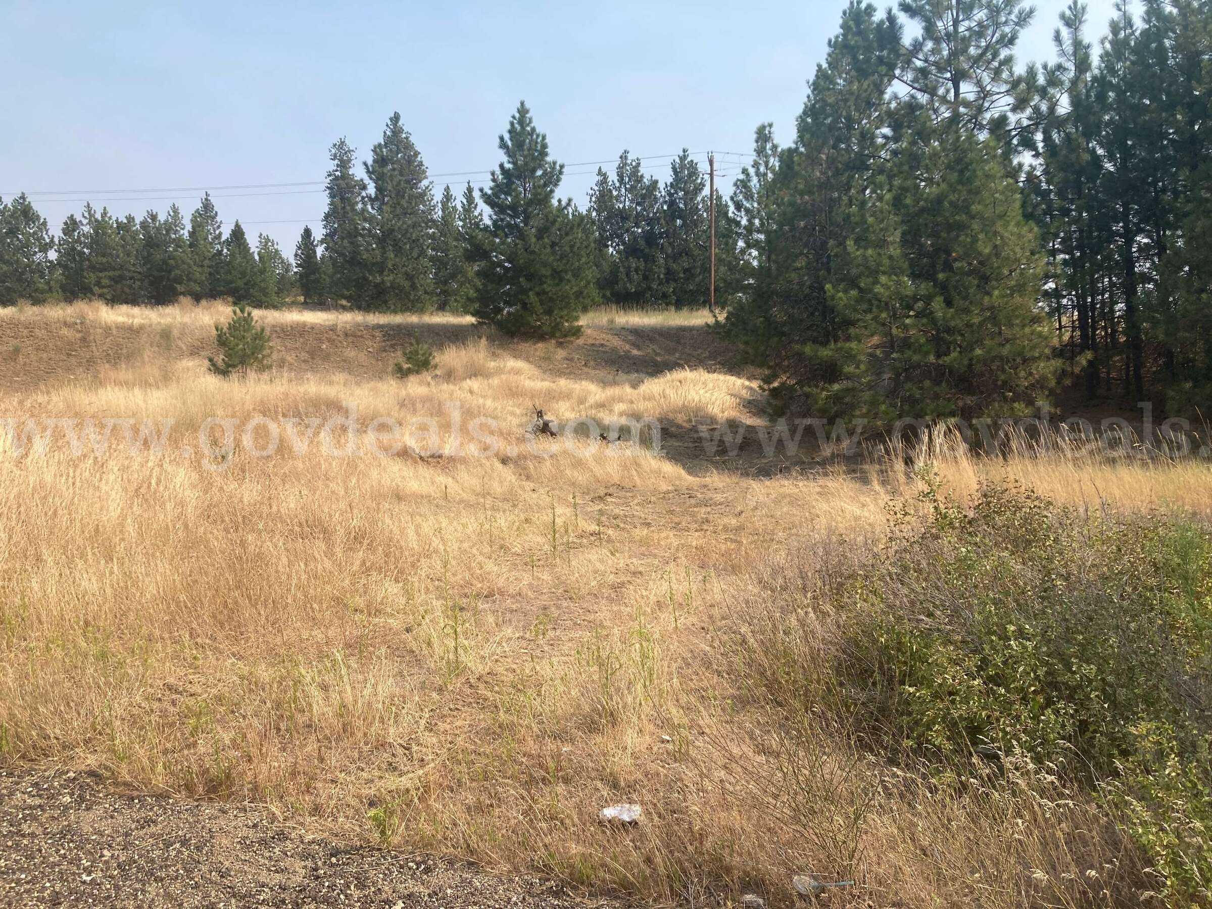 Approx. 0.8 acres - Monroe Pit, Spokane, Washington   Government Surplus Auction - Photo #3