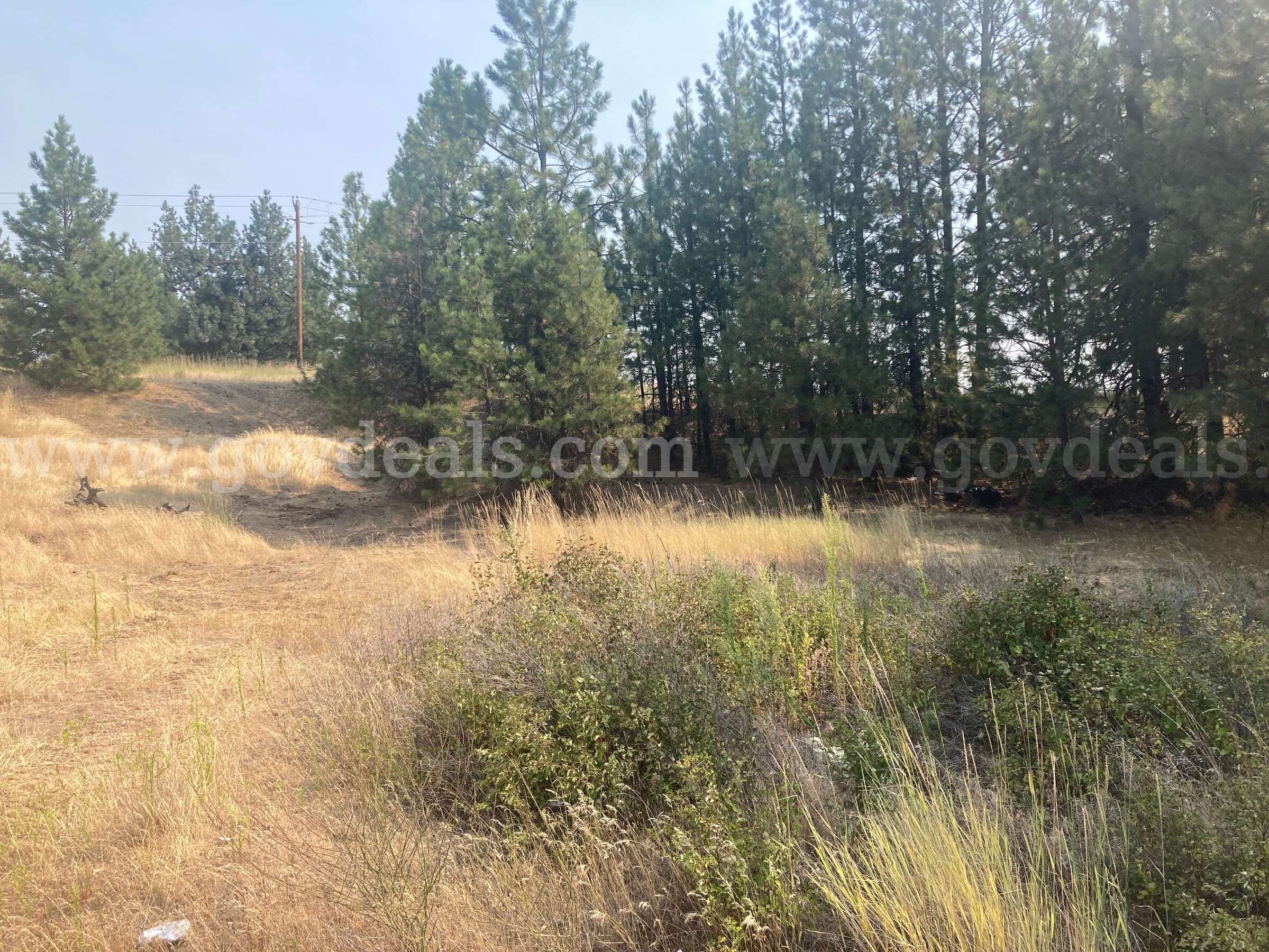 Approx. 0.8 acres - Monroe Pit, Spokane, Washington   Government Surplus Auction - Photo #4