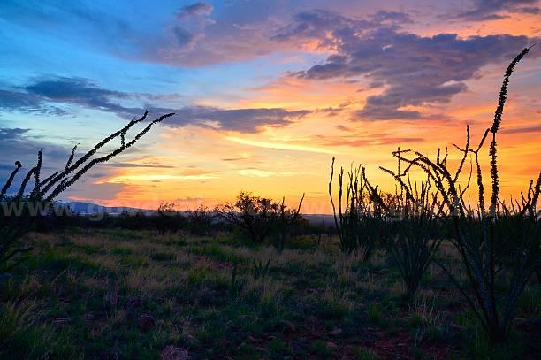 LAND - COCHISE AZ - 0.83 Acres  BUILDABLE LOT Government Surplus Auction - Photo #3