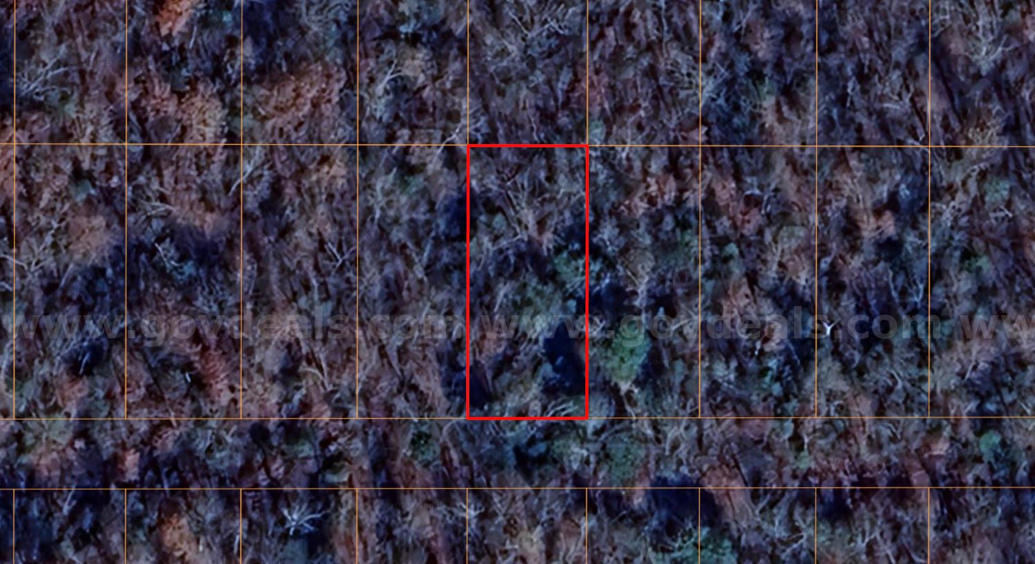 Horseshoe Bend - 0.24acre lot very close to Diamond Lake Crown  Government Surplus Auction - Photo #2