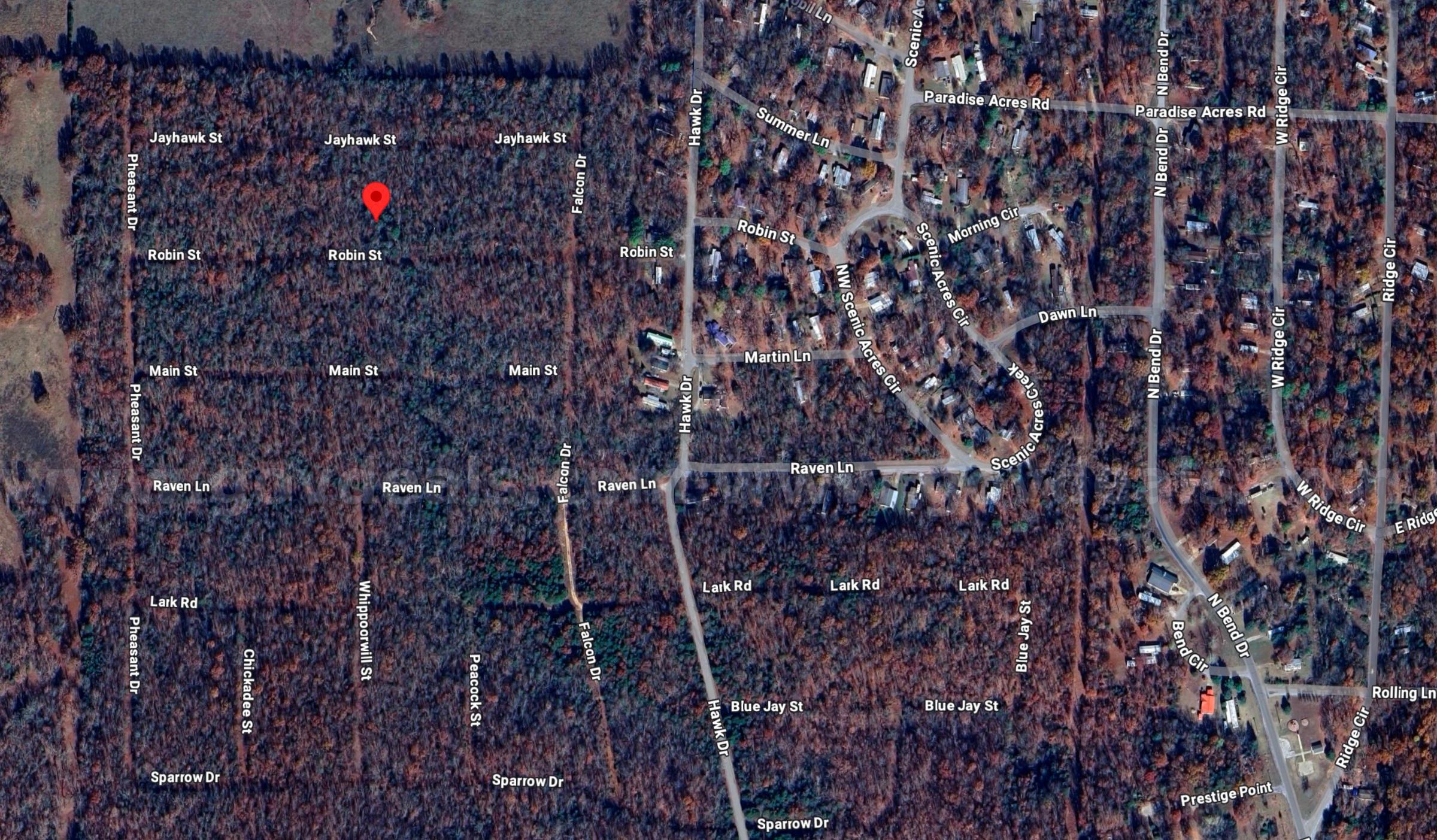 Horseshoe Bend - 0.24acre lot very close to Diamond Lake Crown  Government Surplus Auction - Photo #3
