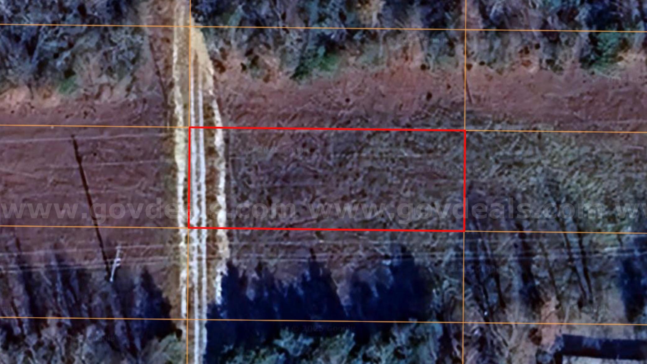 Horseshoe Bend - 0.25acre lot very close to Diamond Lake Crown  Government Surplus Auction - Photo #2