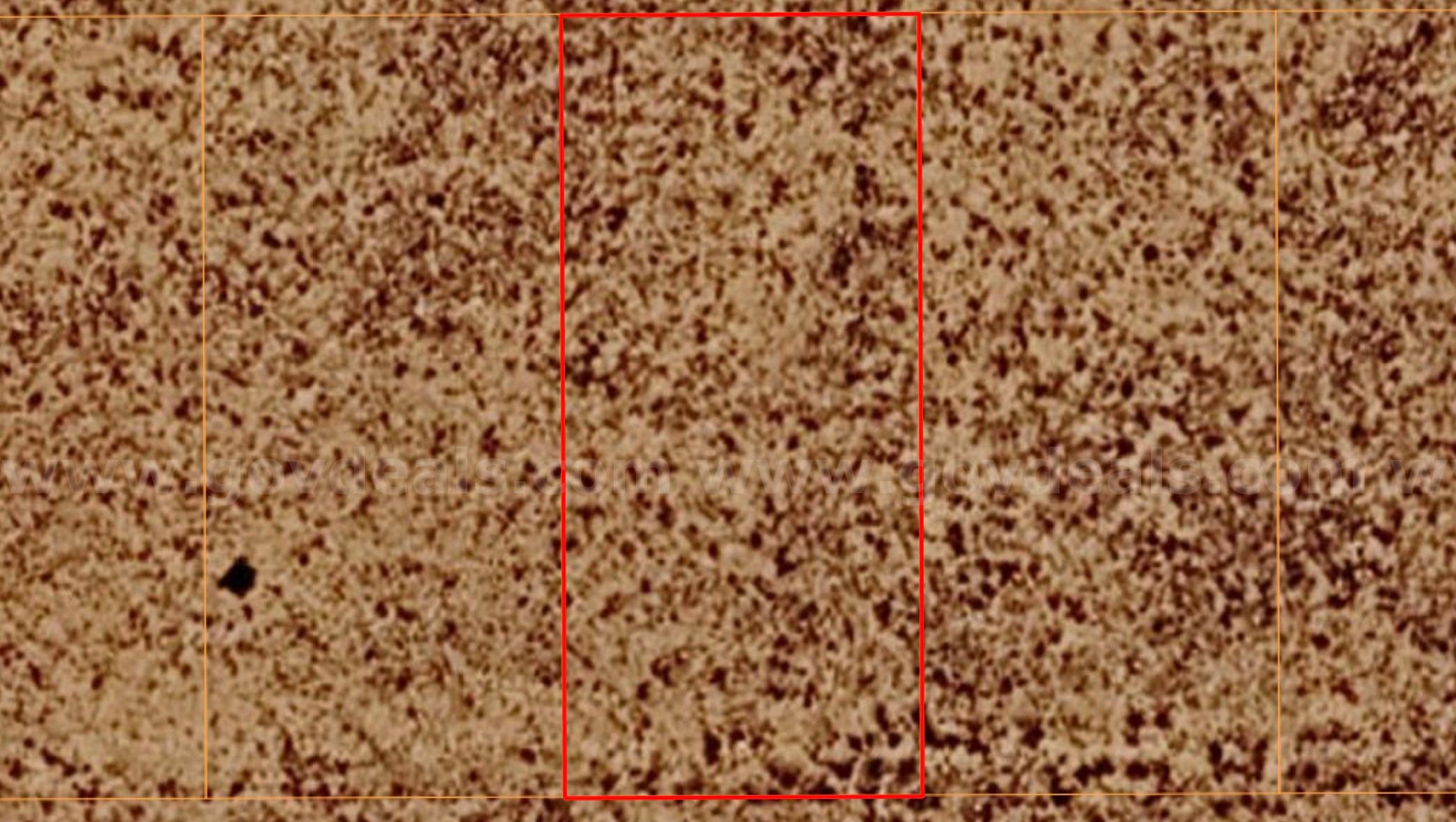 Near Los Lunas- 0.50acre lot near new Facebook data center   Government Surplus Auction - Photo #2