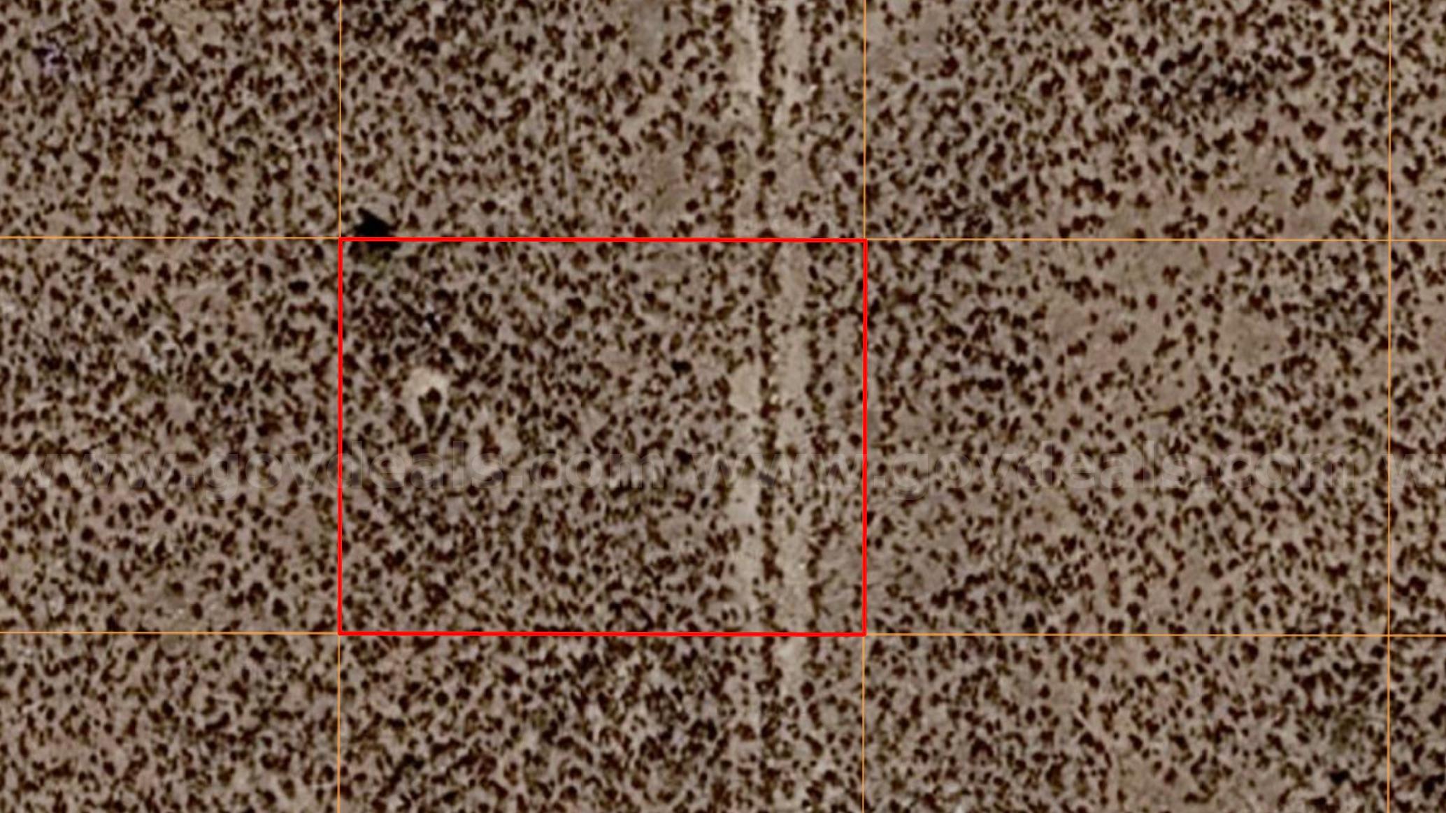 Own Your Own Piece of Beautiful Northern New Mexico – Near Taos! 0.50acre!   Government Surplus Auction - Photo #3