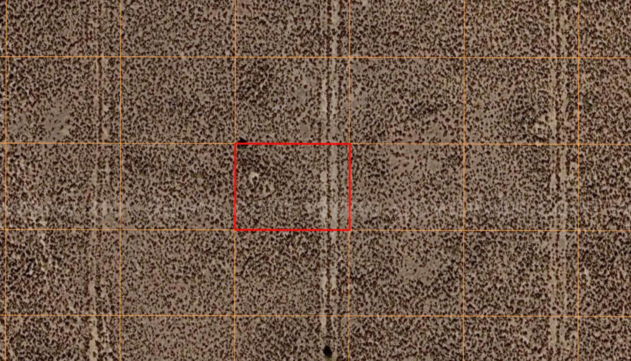 Own Your Own Piece of Beautiful Northern New Mexico – Near Taos! 0.50acre!   Government Surplus Auction - Photo #4