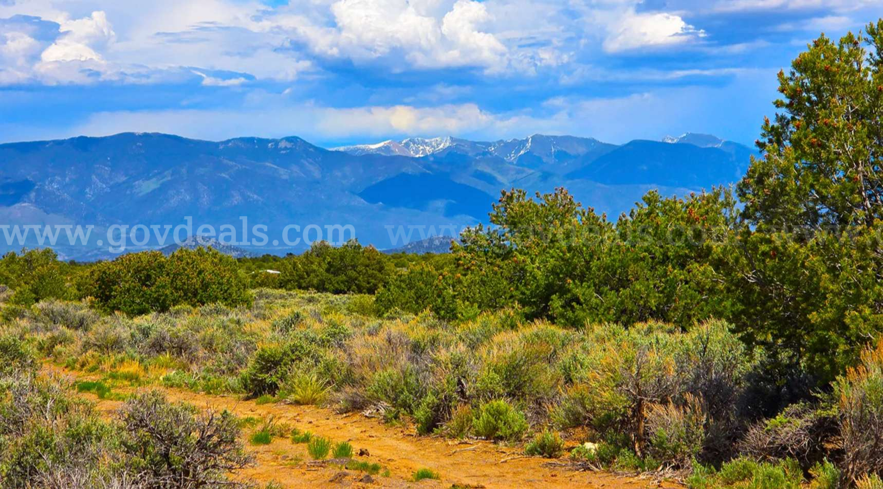 Own Your Own Piece of Beautiful Northern New Mexico – Near Taos! 0.50acre!