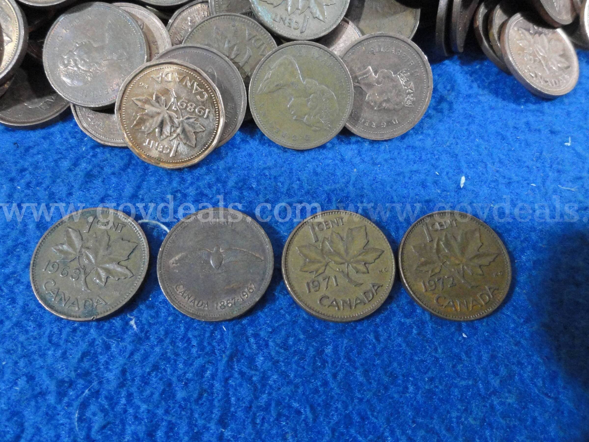 Lot of ~1000 Canadian Pennies (2,400 gm)  1000 Government Surplus Auction - Photo #2