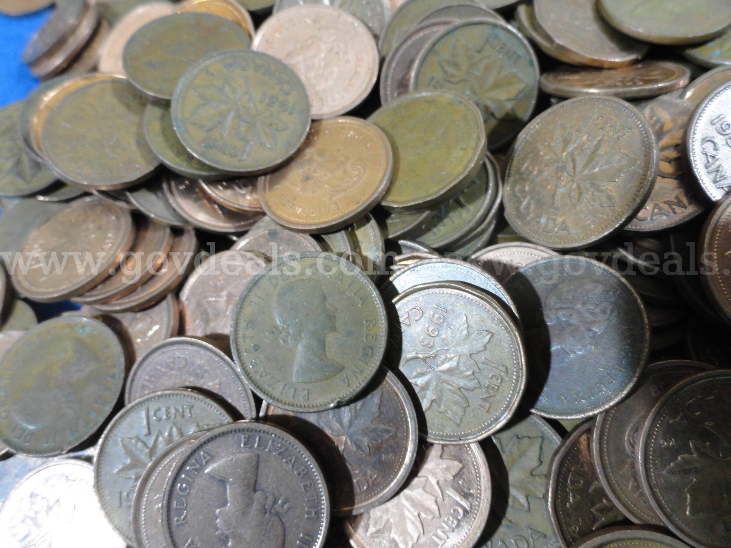 Lot of ~1000 Canadian Pennies (2,400 gm)  1000 Government Surplus Auction - Photo #3