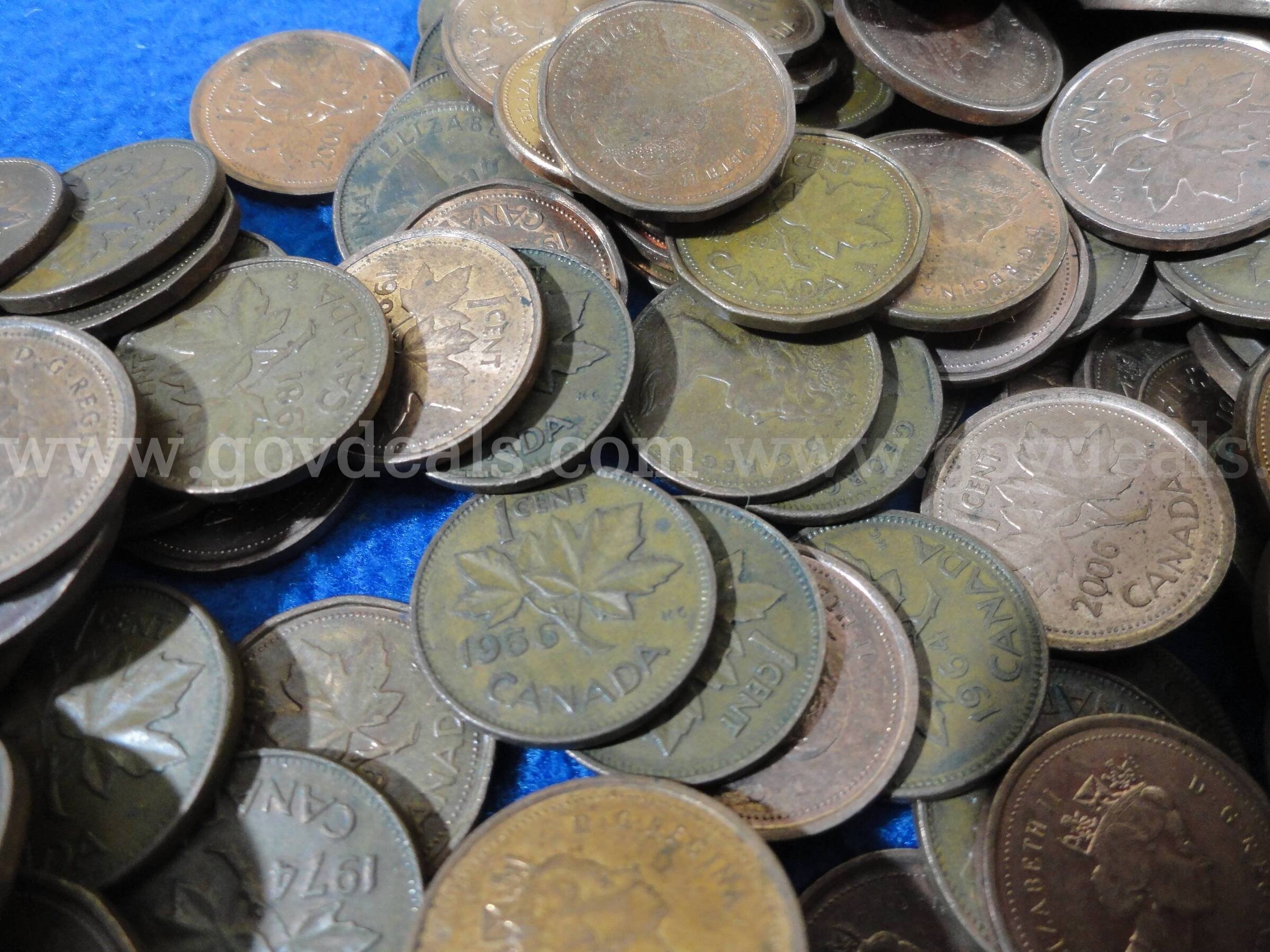 Lot of ~1000 Canadian Pennies (2,400 gm)  1000 Government Surplus Auction - Photo #4