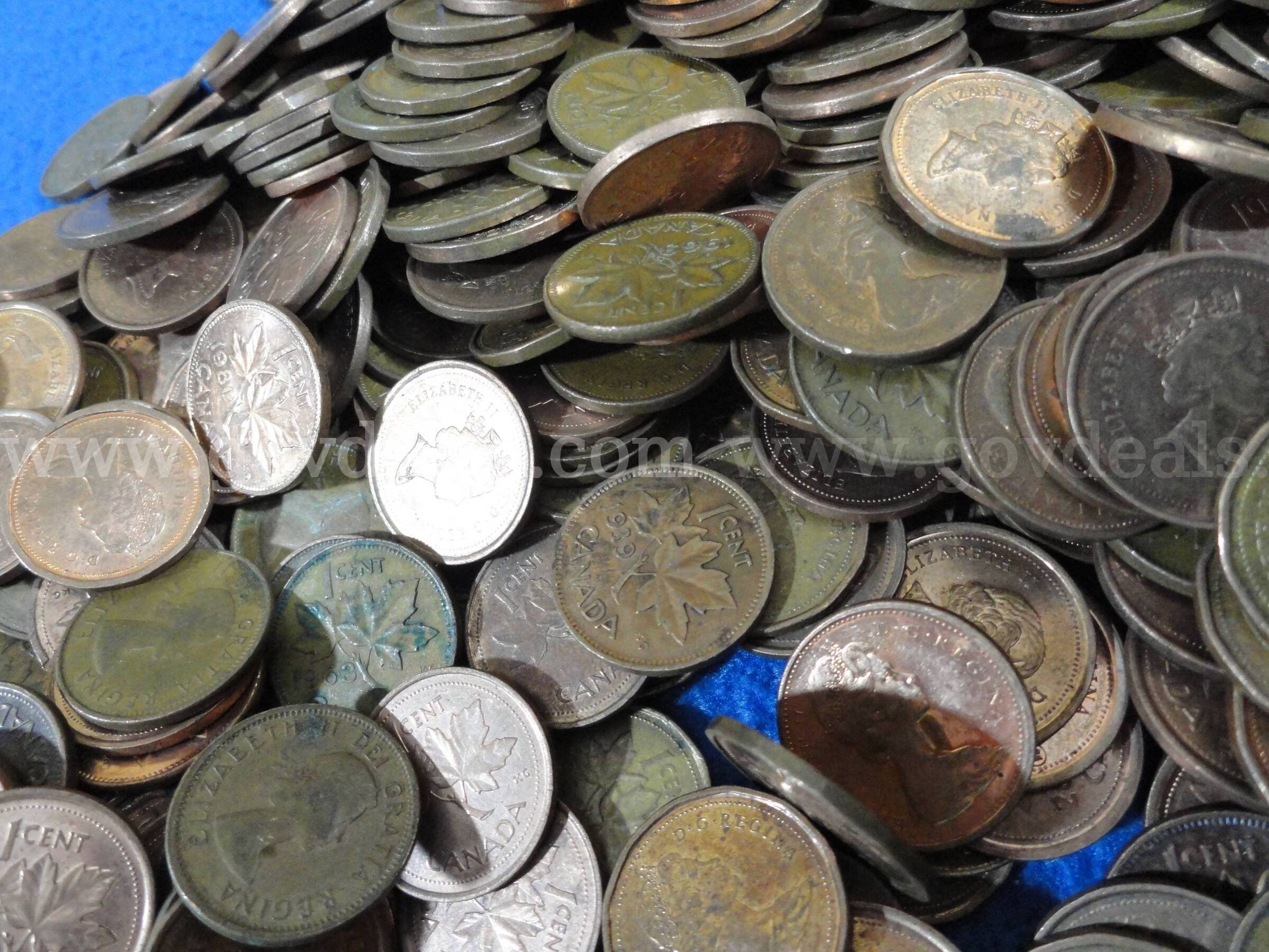 Lot of ~1000 Canadian Pennies (2,400 gm)  1000 Government Surplus Auction - Photo #5