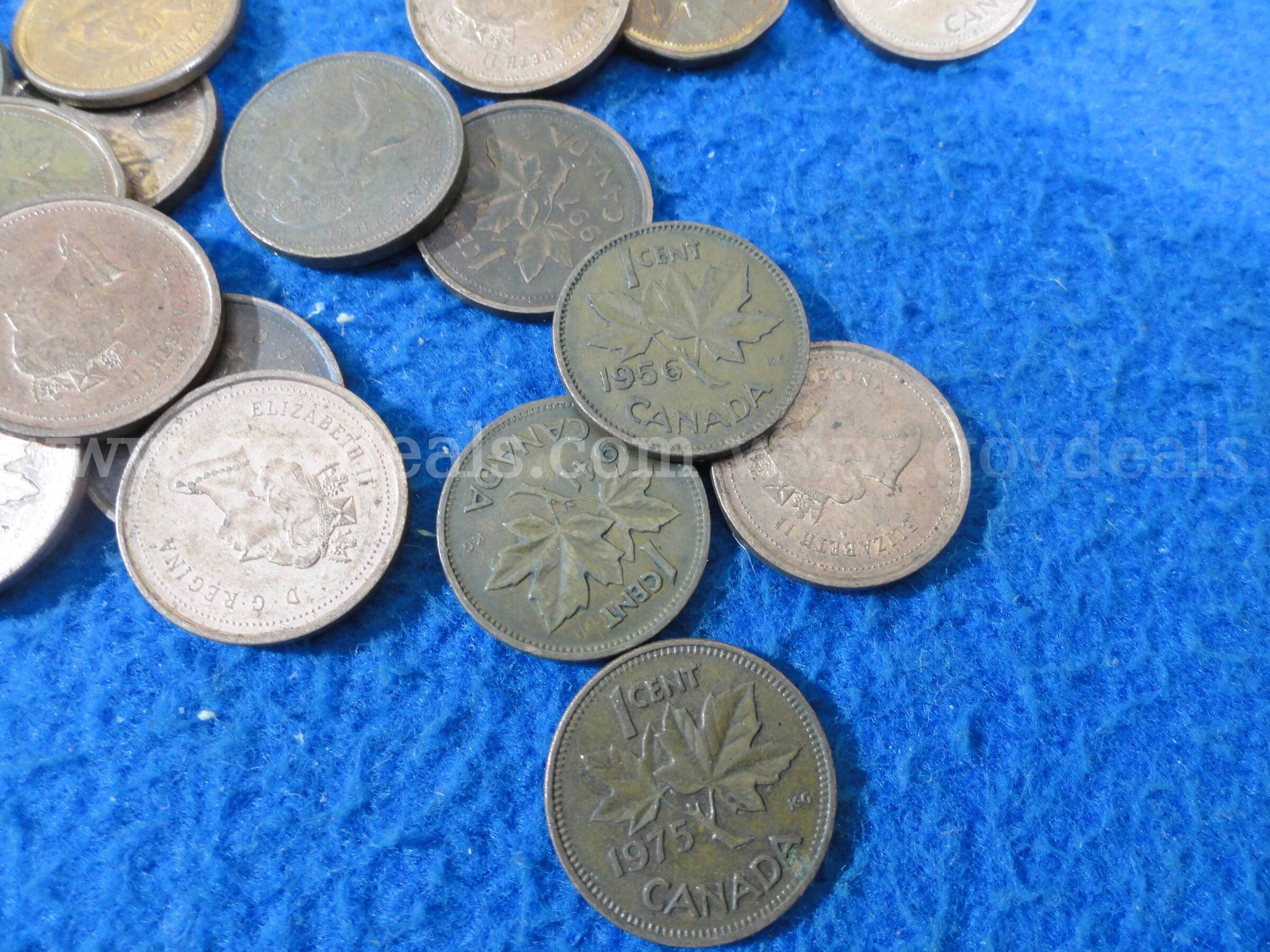 Lot of ~1000 Canadian Pennies (2,400 gm)  1000 Government Surplus Auction - Photo #6