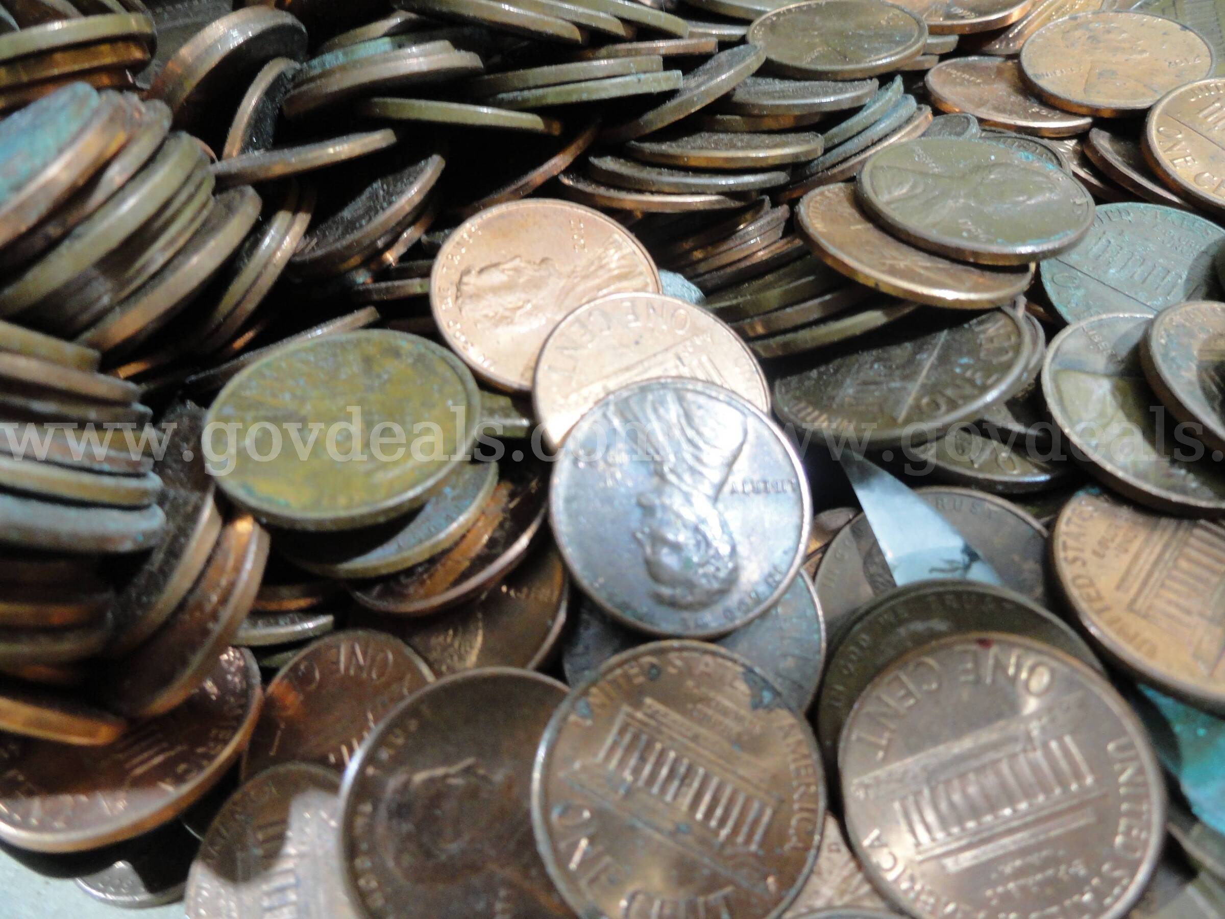 Lot of 8,000+ U.S. Coins – Mostly Cents – Unsorted/Unsearched – 50 lbs  000 Government Surplus Auction - Photo #3